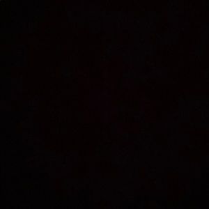 Meet your Posher, Cesar